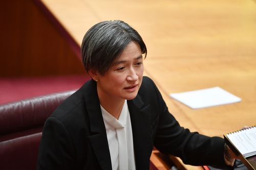 Senator Penny Wong is unsure of whether an audit is the best way forward. (AAP)