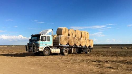Almost 5000 hay bales were gathered. (Facebook)