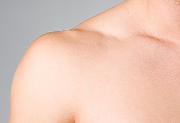 The collarbone is also know by what other name?
