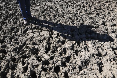 Dam levels also continue to drop, leaving farming families desperate for a drop of rain.