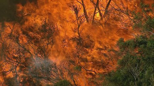 Northern Beaches fire - Figure 1