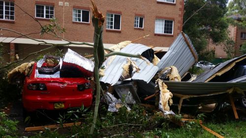 The storm has brought down trees in Lidcombe. (Poonam Gurung)