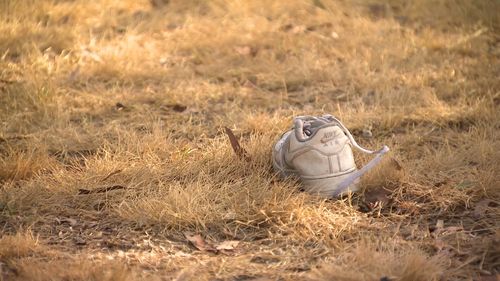 Melbourne crash teenager killed Epping