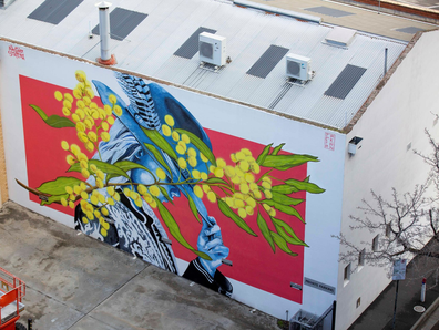 Explore Bendigo's burgeoning street art scene with a talented local artist from the Nacho Station crew.