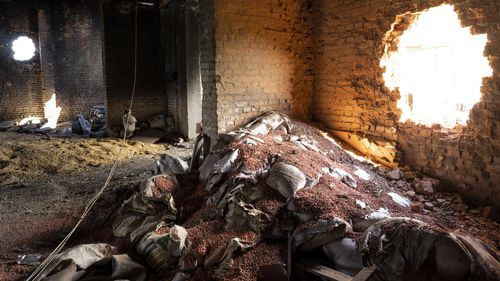 FILE - Scattered grain sits inside a warehouse damaged by Russian attacks in Cherkaska Lozova, outskirts of Kharkiv, eastern Ukraine, May 28, 2022. 