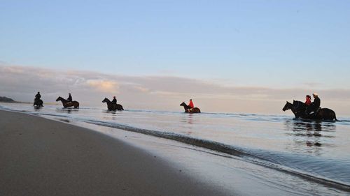 The winning lottery ticket from Thursday's Powerball was sold in Dromana.