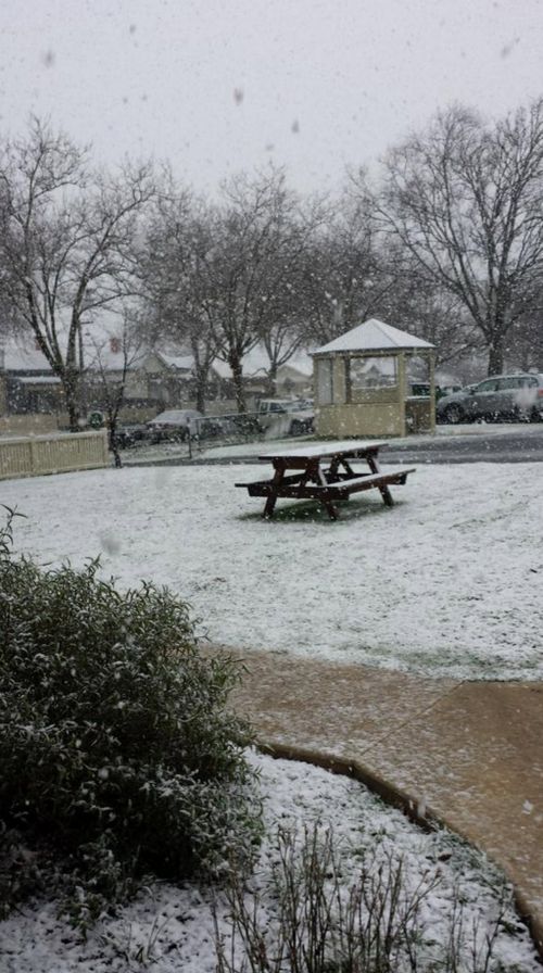 Winter wonderland after snow falls in Ballarat. (Twitter, @lilylala50)