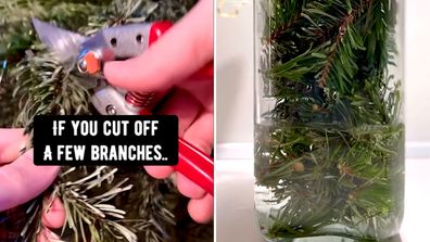 Christmas tree cleaning spray TikTok hack