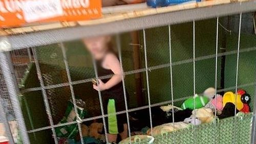 Child found living in cage with snake: Parents say it was the 'safest place' 