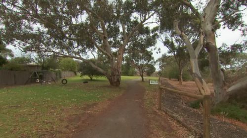 Police fear a feline-targeting gunman could be at large in the Clifton Springs area. (9NEWS)