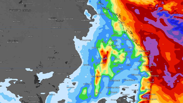 Modelling shows there could be widespread falls between 60-80 mm along the NSW and Queensland coast.