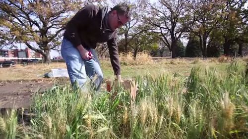 George even harvested his own wheat for his break roll. (YouTube)