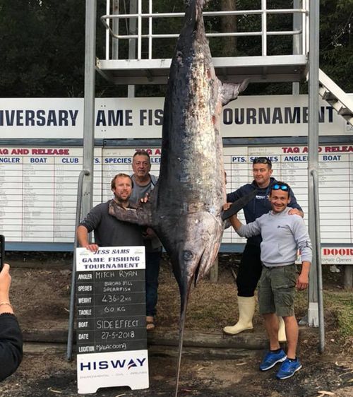 Four fishermen from the NSW South Coast caught the largest swordfish ever pulled from Australian waters last weekend. Picture: Facebook.