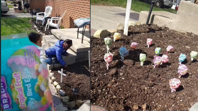 Left: kids planting jelly beans in the garden. Right: Lollipops in the garden.