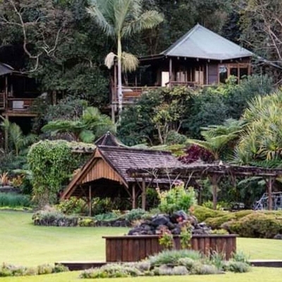 Chance to secure a collection of treehouses on the Sunshine Coast