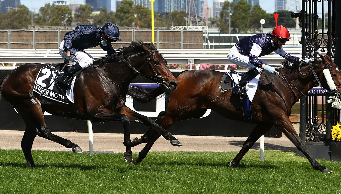 Jye McNeil wins the Melbourne Cup aboard Twilight Payment.