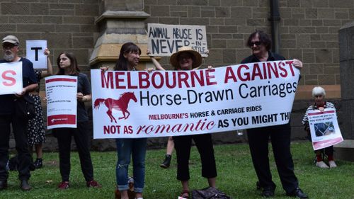Animal activists protesting horse-drawn carriages in 2015. (AAP)