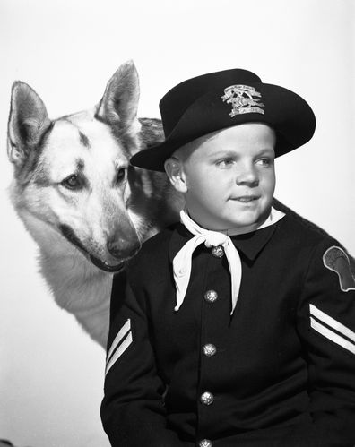 Adventures of Rin Tin Tin