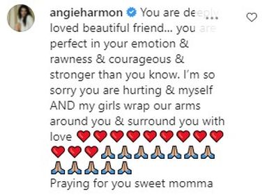 Paulina Porizkova is comforted by Angie Harmon on Instagram.