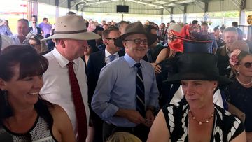 Barnaby Joyce and Malcolm Turnbull enjoy the racing festivities in Tamworth today. (Charles Croucher)