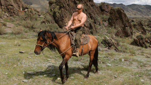 Russian President Vladimir Putin rides a horse in the Siberian Tyva mountains on August 3, 2009. (AP)