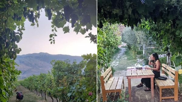 The view from the vineyard at The Barrels restaurant at Gjirokaster in Albania.
