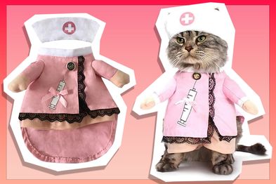 9PR: NACOCO Cat Nurse Costume
