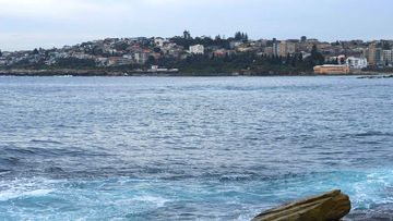 A woman has drowned at Gordons Bay in Sydney.