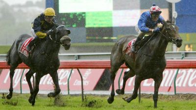 Makybe Diva - 2004