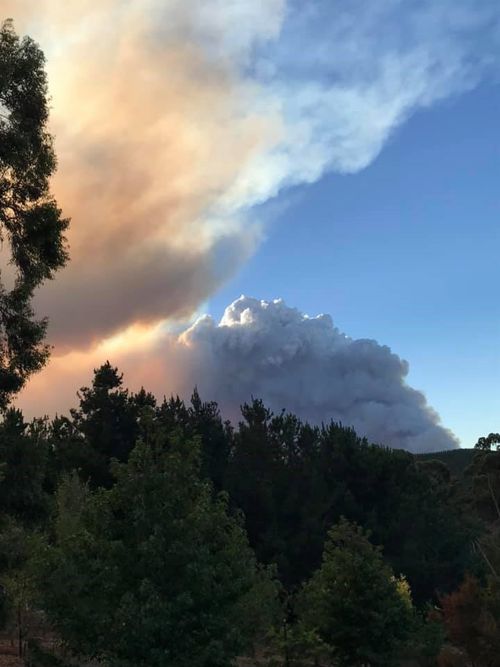 Smoke and fire heading toward lush forests.