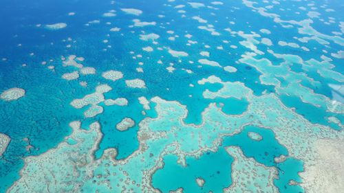 The Great Barrier Reef in Queensland, Australia. (AAP)