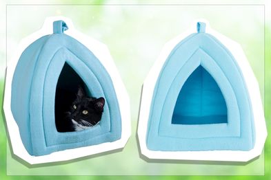 9PR: PETMAKER Indoor Cat House, Blue