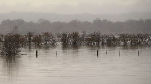 Warning signs were 'deliberately removed' from road in Tasmanian floods