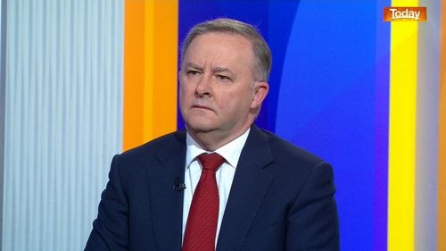 Anthony Albanese has said the Newstart allowance needs to be raised.