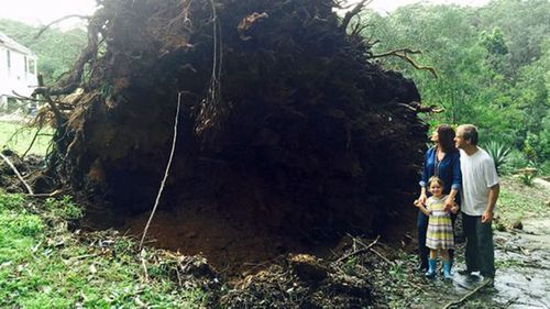 Liberal MP Lucy Wicks, her husband Chris and daughter daughter Mollie-Joy stand next to the roots of the tree that crashed into their home.