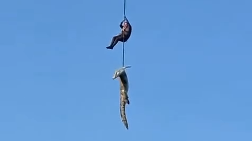 Polis, dev timsahı nehirden uzaklaştırdı.