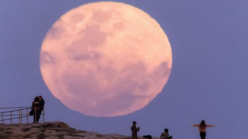 The super blue moon rises over Bondi Beach.  