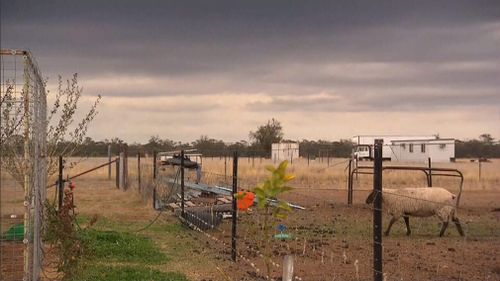 The heavens have opened in parts of regional New South Wales, bringing welcome relief to some drought-stricken communities.