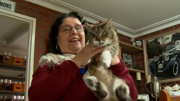 A 22-year-old cat has been reunited with its owners.   