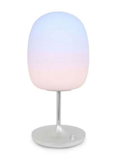 Wellness Table Lamp - $1573