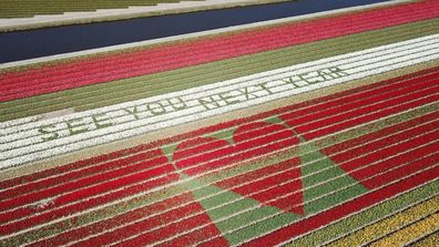 Dutch Daffodils message to tourists