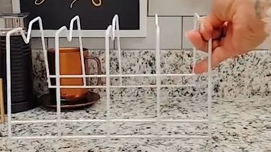 Dish rack TikTok storage hack