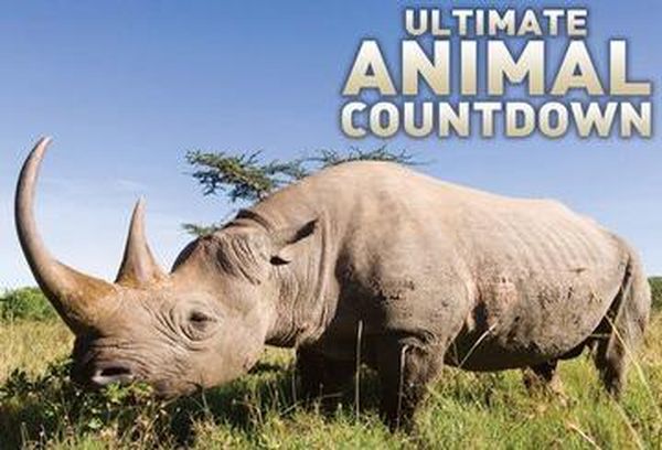 Ultimate Animal Countdown