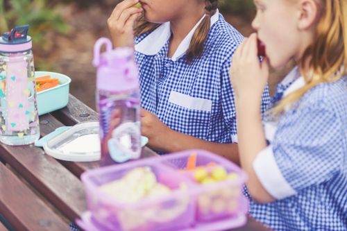 Schoolgirls eating a healthy lunch. They have a lunch box with vegetables and fruit and a lettuce and chicken sandwich. They are wearing school uniforms.