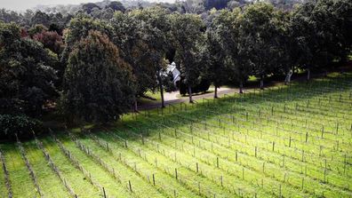 Cedar Creek Estate Winery