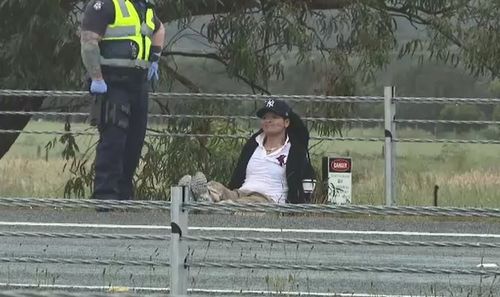 Three arrested after Melbourne freeway road rage fight