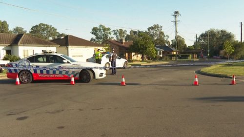 La femme a été frappée sur Power Street à Doonside.