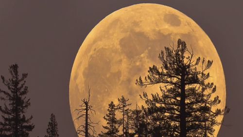 The biggest and brightest supermoon