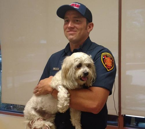 Firefighter Matt Smith saved the dog. (Bakersfield Fire Department)