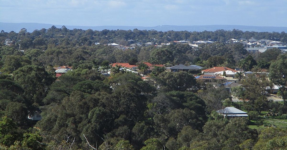 Leda man charged after allegedly beating another person’s dog to death in Perth